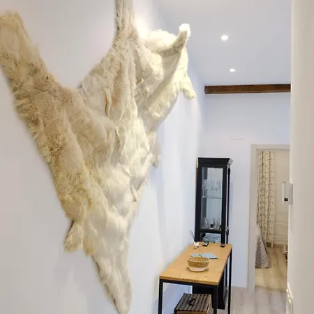 Grosso I Local Rentss